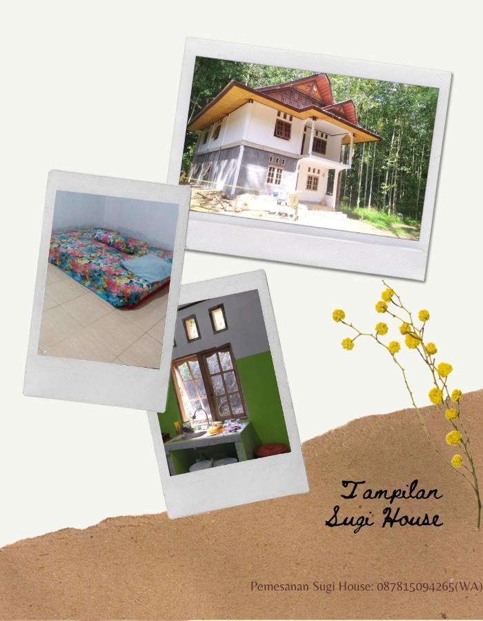 Sugi House Toraja - Villa Penginapan Sewa Harian Rantepao Εξωτερικό φωτογραφία