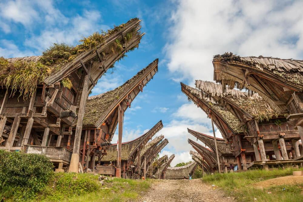 Sugi House Toraja - Villa Penginapan Sewa Harian Rantepao Εξωτερικό φωτογραφία